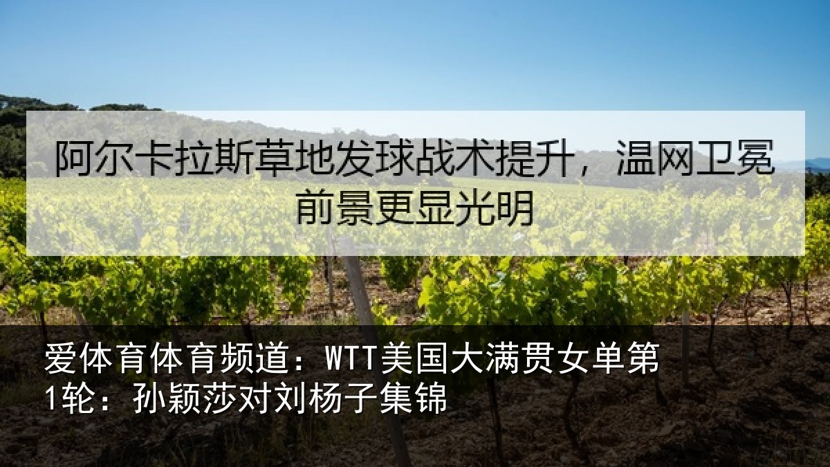 爱体育体育频道：WTT美国相关情况颖莎对刘杨子集锦